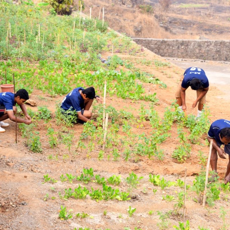 WhatsApp Image 2021-01-14 at 9.21.12 AM (1)